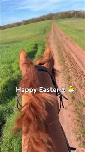 Happy Easter🐰🐣 #horse #riding #fyp #nature #easter