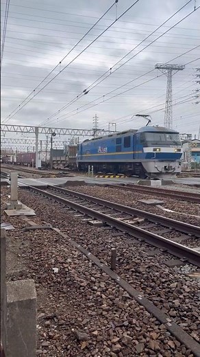 かなり珍しい‼ 電車を追い抜く貨物列車‼ #ジョイント音 #貨物列車 #かもつれっしゃ #貨物列車いろいろいっぱい #鉄道 #EF210 #桃太郎 #train #freight train