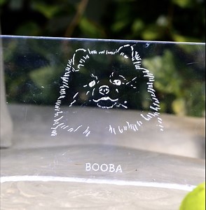 17K views · 59 reactions | DIY Pet Memorial: A Special Resting Place for Your Beloved Dog  | 5-Minute Crafts Family | Facebook