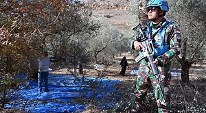 Lebanese farmers harvest olives under UN watch near volatile Israeli border