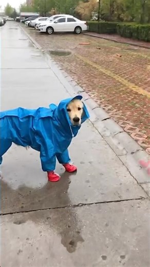 His little red boots are boots are just cute 😭❤️