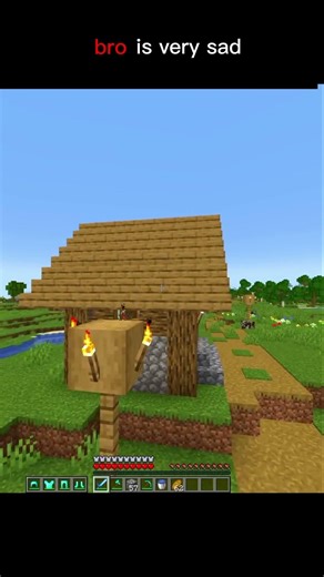 #minecraft sad movement