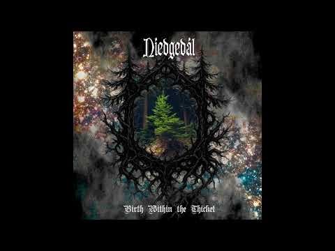 Níedgedál (UK) - Birth Within the Thicket (Album 2025)