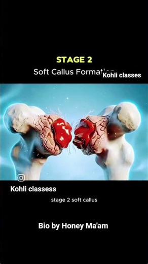 #about bone formation