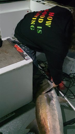 46K views · 791 reactions | Bit of fun at 4.30am this morning. Totally buckled. Nearly spooled, 20 minutes of mayhem. I spotted the big AJ's high in the water column on the Garmin LVS62 Livescope. Well worth the effort of crossing the bar at midnight! Great fishing on Rainbow Escape Charters | Rainbow Escape Charters | Facebook