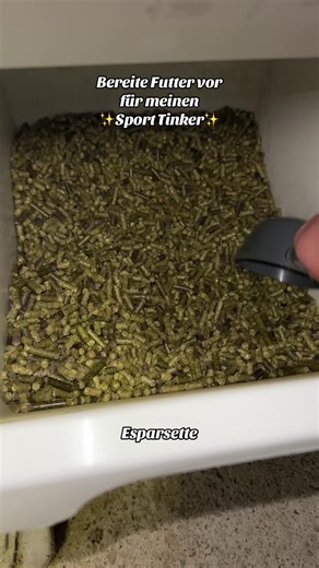 Mein kleines Pony braucht seine Proteine 😌 #feedingroutine #irishcob #pony #equestrian #horsegirl