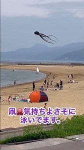 たけしの超常現象に出てた空に浮かぶ物体！