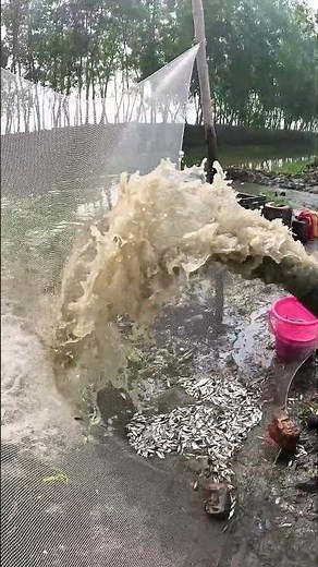 Amazing Traditional Water Pump Fishing Technique! 🐟 #fishing #fish #traditionalfishing