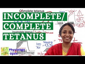 Incomplete and Complete tetanus | Amphibian graphs | Practical Physiology mbbs 1st year