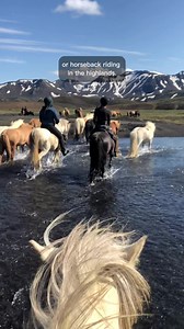 1.5M views · 41K reactions | Here's the answer to the most frequently asked question we get about Iceland!  | Guide to Iceland | Facebook