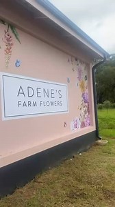 15K views · 766 reactions | Welcome to Adene's farm flowers GAUTENG -...