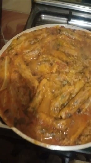 ١٤ يناير ٢٠٢٦