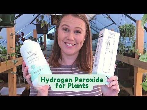 Hydrogen Peroxide for House Plants 🌱 What Is It & How Is It Used?