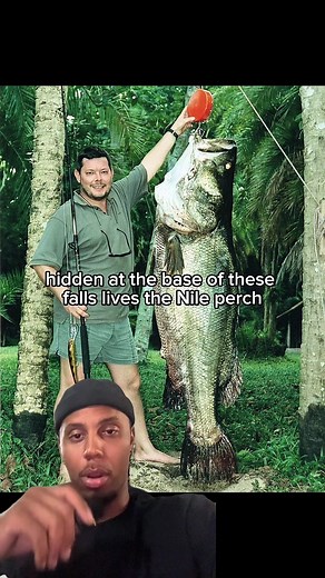 Catch Nile Perch with Expert Fishing Guides