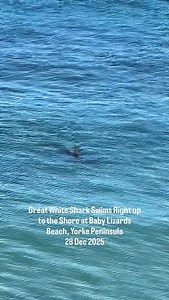 2.1M views · 5.2K reactions | THE REAL WAVE RIDER 﫡麗 Bystanders of...