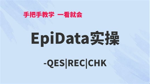 EpiData实操
