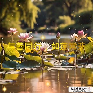 心行善念，步步生莲 | Tai Pei Buddhist Centre 大悲佛教中心 | Facebook