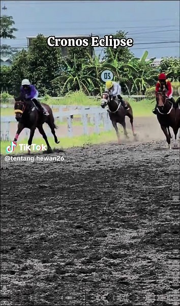 Explore Cronos Eclipse: A Unique Horse Racing Experience