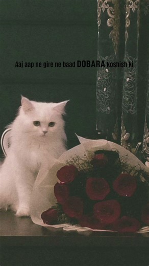 Every little effort, every silent prayer, and every moment of patience is noticed#islamicmotivation