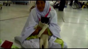Cats In The Holy Mosque In Makkah | About Islam