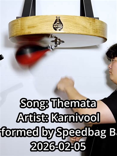 Speed Bag Drumming to Karnivool's Themata