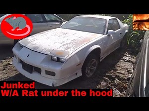 3rd Gen Fbody Big Block Camaro Junk Yard Find