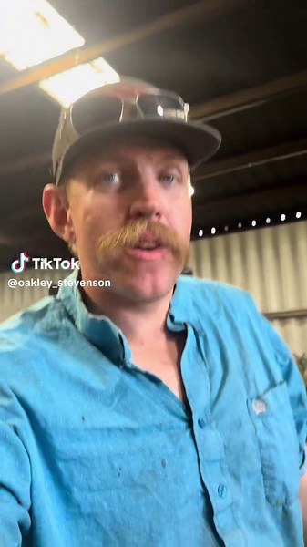 Chopping Rocks: The Heart of Corn Silage Season