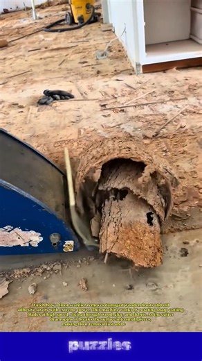 This Machine Rips Old Floors Apart in Seconds! 😱