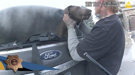 Harrowing Video Shows Deputy Going Into Burning SUV to Save Dog