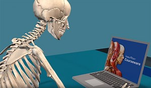 How Does Visible Body Courseware Compare to 3D4Medical's Complete Anatomy?
