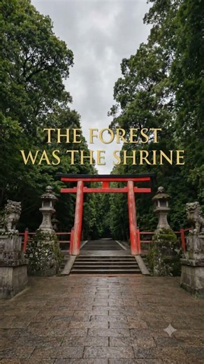 The forest was the real shrine.