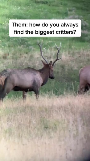 Enhance Your Hunting Season with the onX Hunt App