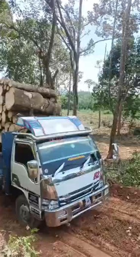 AG GROUP®️ on TikTok