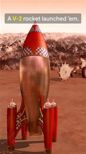 Wait… FRUIT FLIES Beat Us To Space?! 🪰🚀