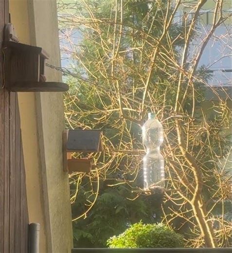 Hey, the nut is not for you!!