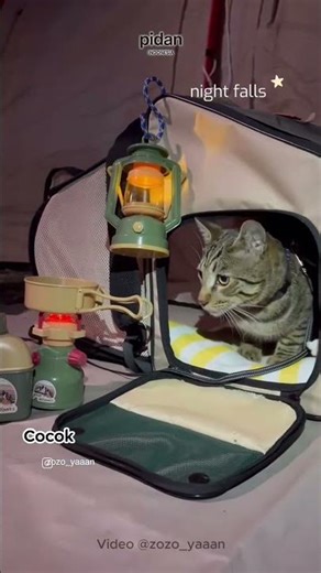 Jelajahi alam bebas dengan Pidan Expandable Carrier