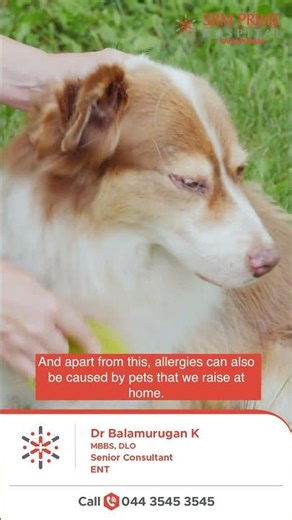 Constant sneezing? Here’s what it could mean