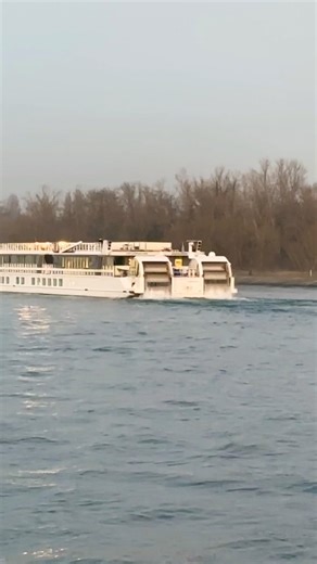The different Kind of propellers 👁#boat #boatlife #boating