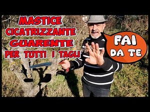 Healing Cicatrizing Mastic, for pruning and all other plant wounds