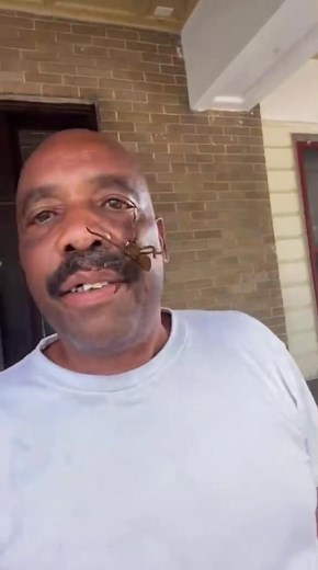 Steve Harvey Spider Filter Prank Video Compilation