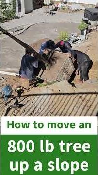 How to Move an 800 lb Tree Up a Slope up a slope