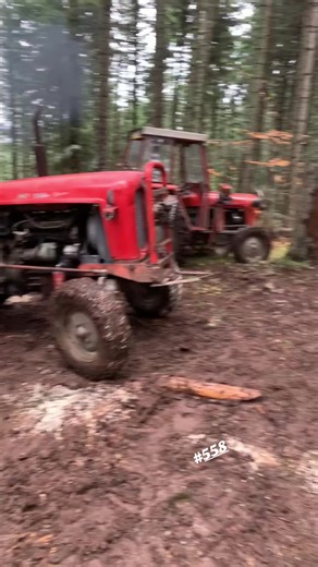 Imt558 i Krajiska Muzika - Sumarstvo u Selo