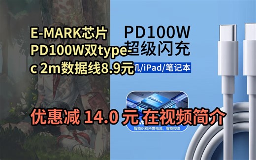 【省14.0元】帕洛达适用手机笔记本100W大功率type-c闪充数据线PD快充电源线 PD100W(PVC) 2m
