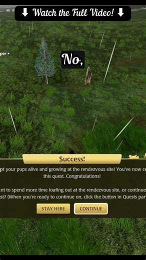 Cliff Grows Up. :( #wolfquest #growingup #bouncingintothesaga