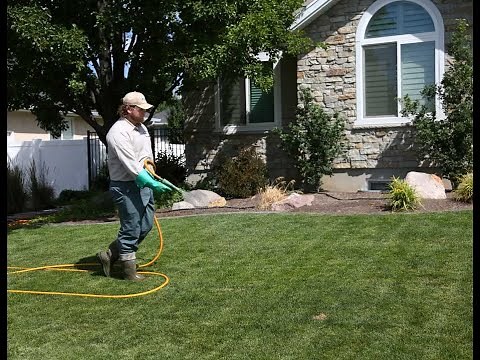 How to Prevent Weeds in Your Lawn and Flowerbed | Pre-emergent Weed Control