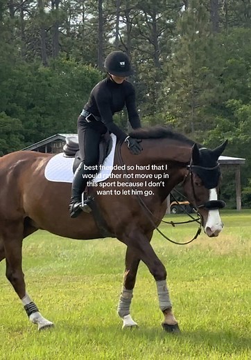 Best Friend in Equestrian: A Heartwarming Bond