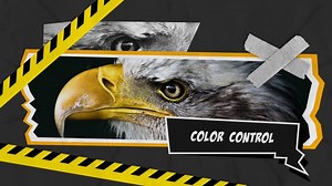 Download Anime Intros - Videohive - aedownload.com