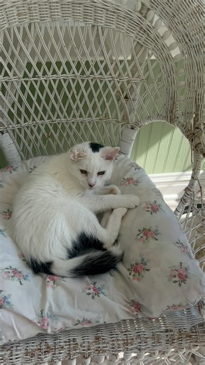 10K views · 718 reactions | Want to make a differnce in the life of a...