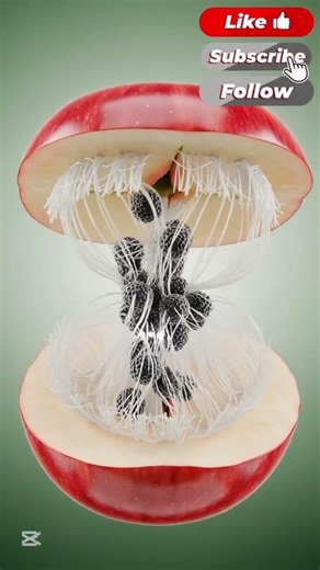 THIS ARE 10 FOODS TO INCREASE YOUR KIDNEYS HEALTH,#3danimation #shortsfeed #nutrition