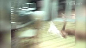 Scaredy Cats | Pranks and Scare Fails Compilation | FailArmy